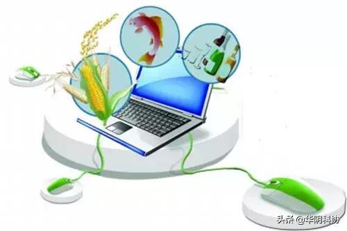 網絡技術賦能農民 機遇與挑戰